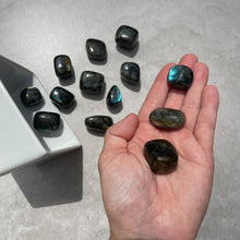 Load image into Gallery viewer, Labradorite Tumbles
