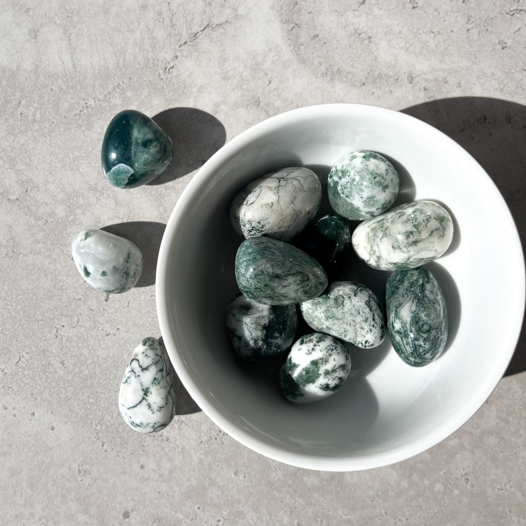 Tree Agate Tumbles